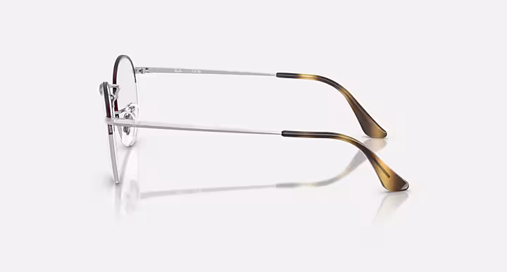 Ray-Ban ROUND GAZE