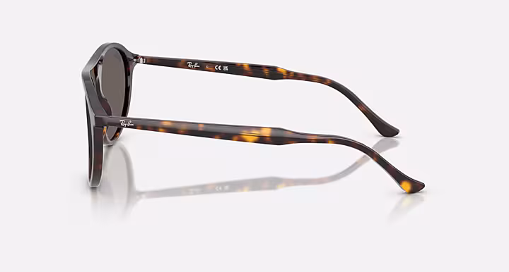 Ray-Ban RB2215