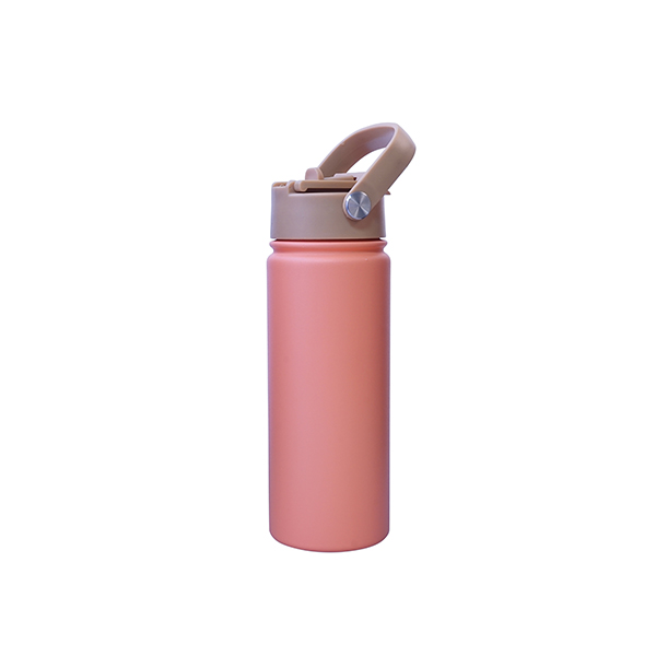 Stainless Steel 500ml Double-Layer Vacuum Insulated Sport