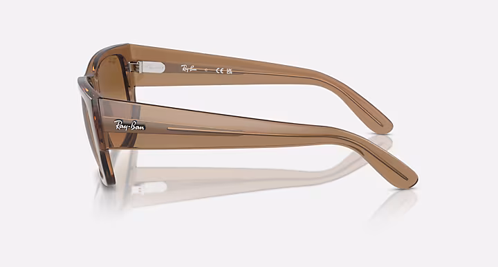 Ray-Ban CARLOS