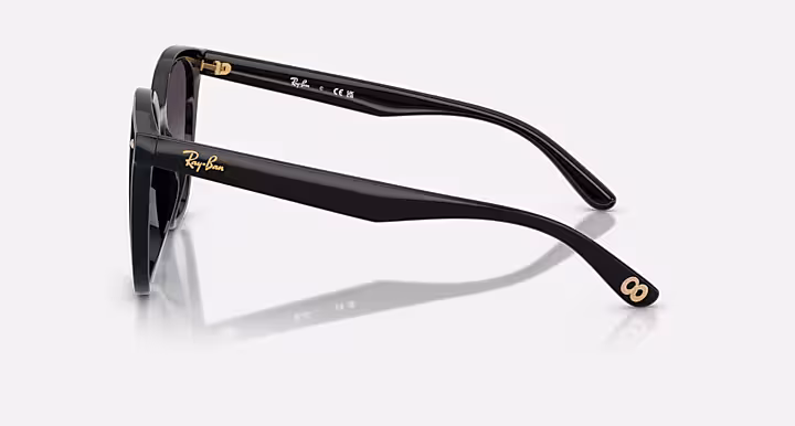 Ray-Ban RB4423D YEAR OF THE SNAKE EDITION