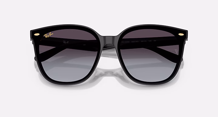 Ray-Ban RB4423D YEAR OF THE SNAKE EDITION