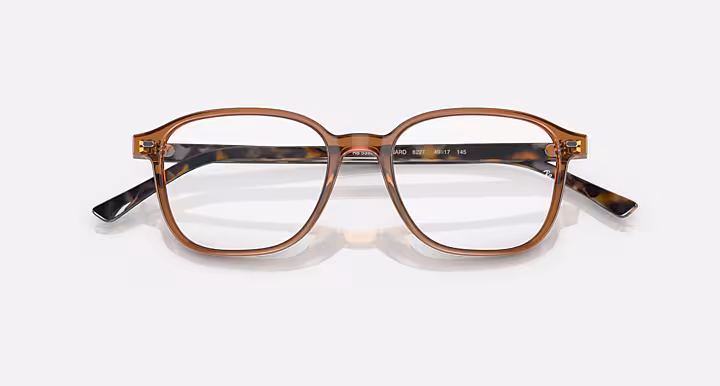 Ray-Ban LEONARD OPTICS