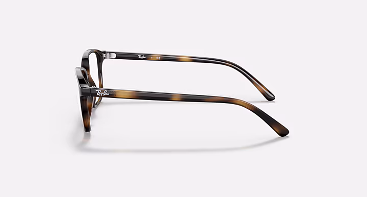 Ray-Ban LEONARD OPTICS KIDS