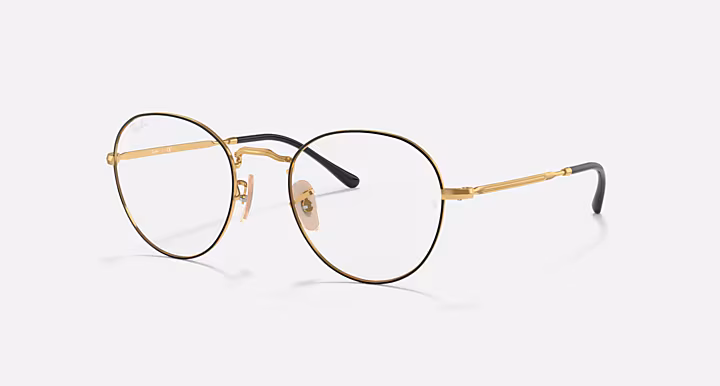 Ray-Ban ROUND METAL OPTICS II