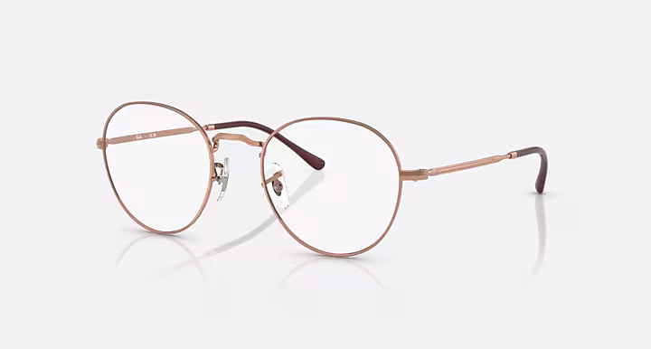 Ray-Ban ROUND METAL OPTICS II