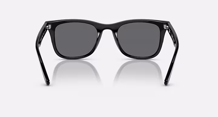 Ray-Ban RB4391D