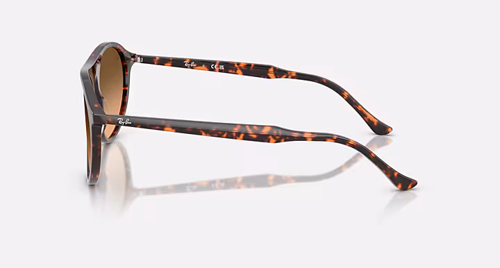 Ray-Ban RB2215