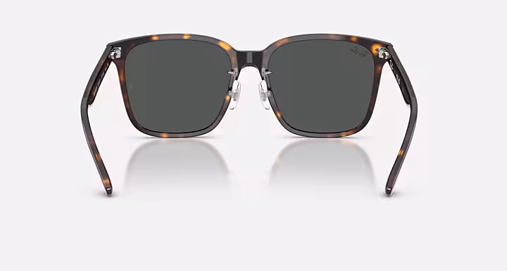 Ray-Ban RB2206D