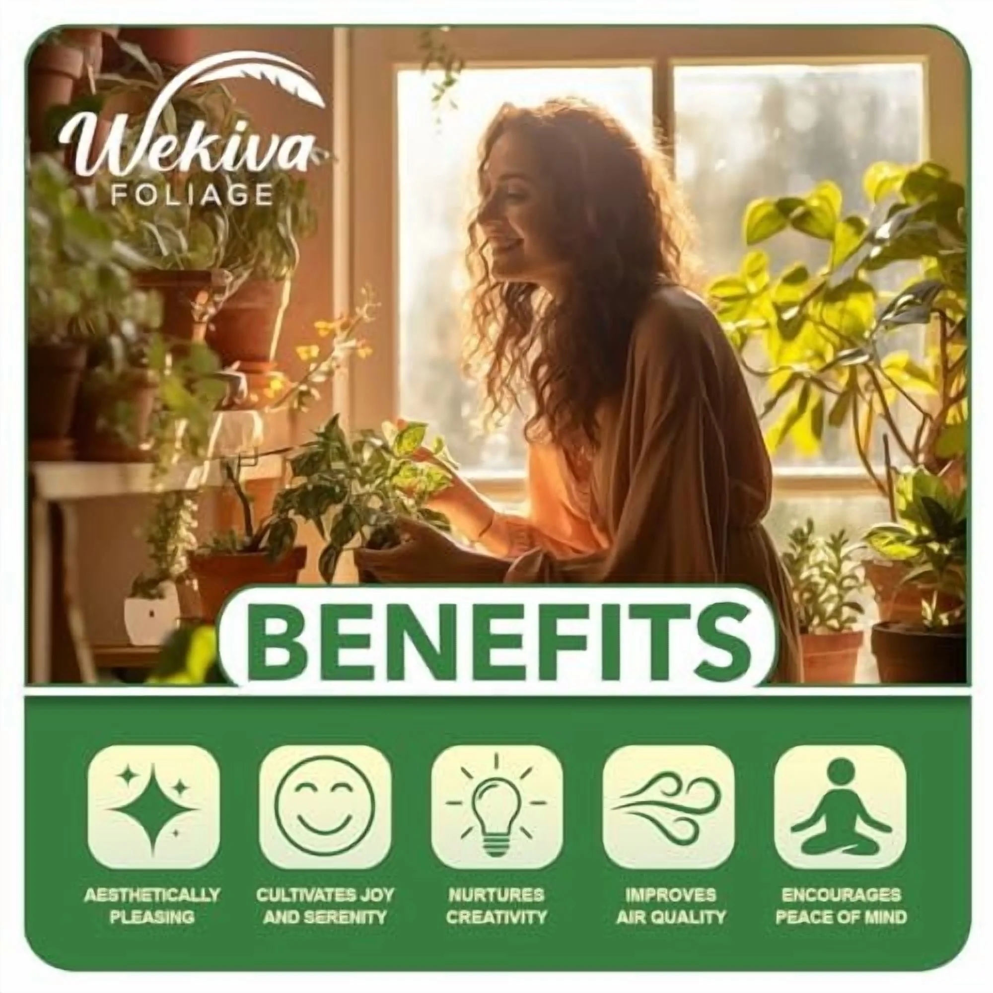 Brogdon Avocado Tree - Grafted - Live Plant in a 3 Gallon Growers Pot - Persea Americana - Beautiful Edible Fruit Bearing Tree for Patio and Garden - Image 29