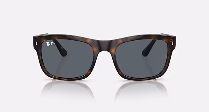 Ray-Ban RB4428