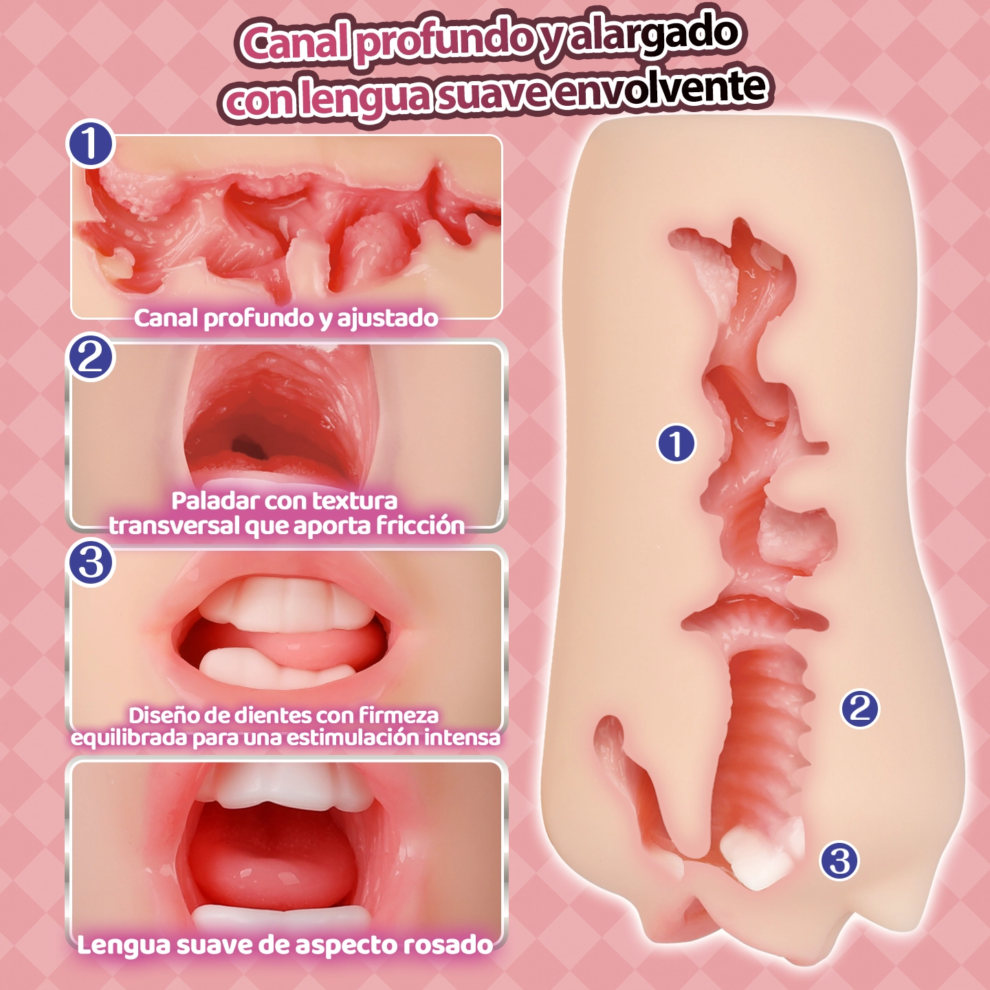 Diagrama del canal interno del masturbador oral Dr.YUU, con texturas de labios, lengua, paladar y relieves internos.