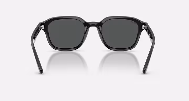 Ray-Ban RB4458D