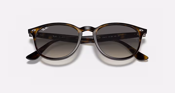 Ray-Ban RB4259