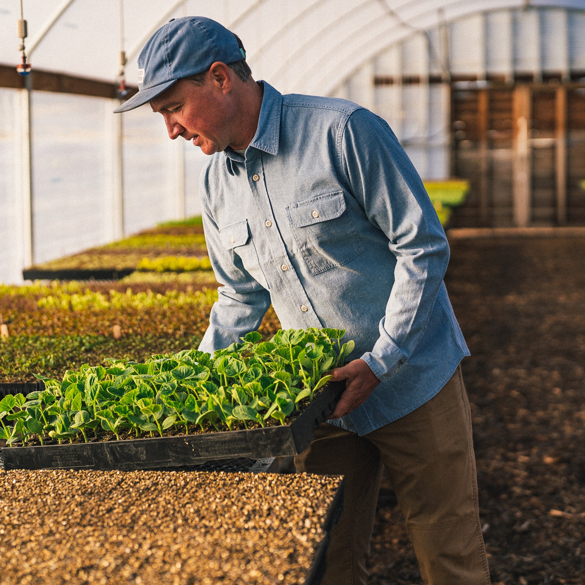 The Chore Shirt in Washed Indigo Boss Duck