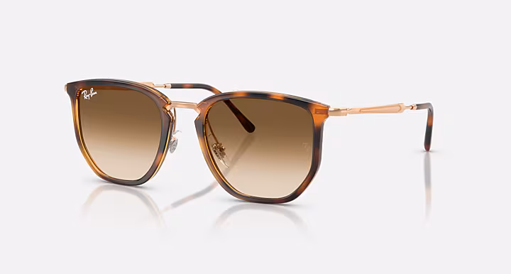 Ray-Ban RB4451