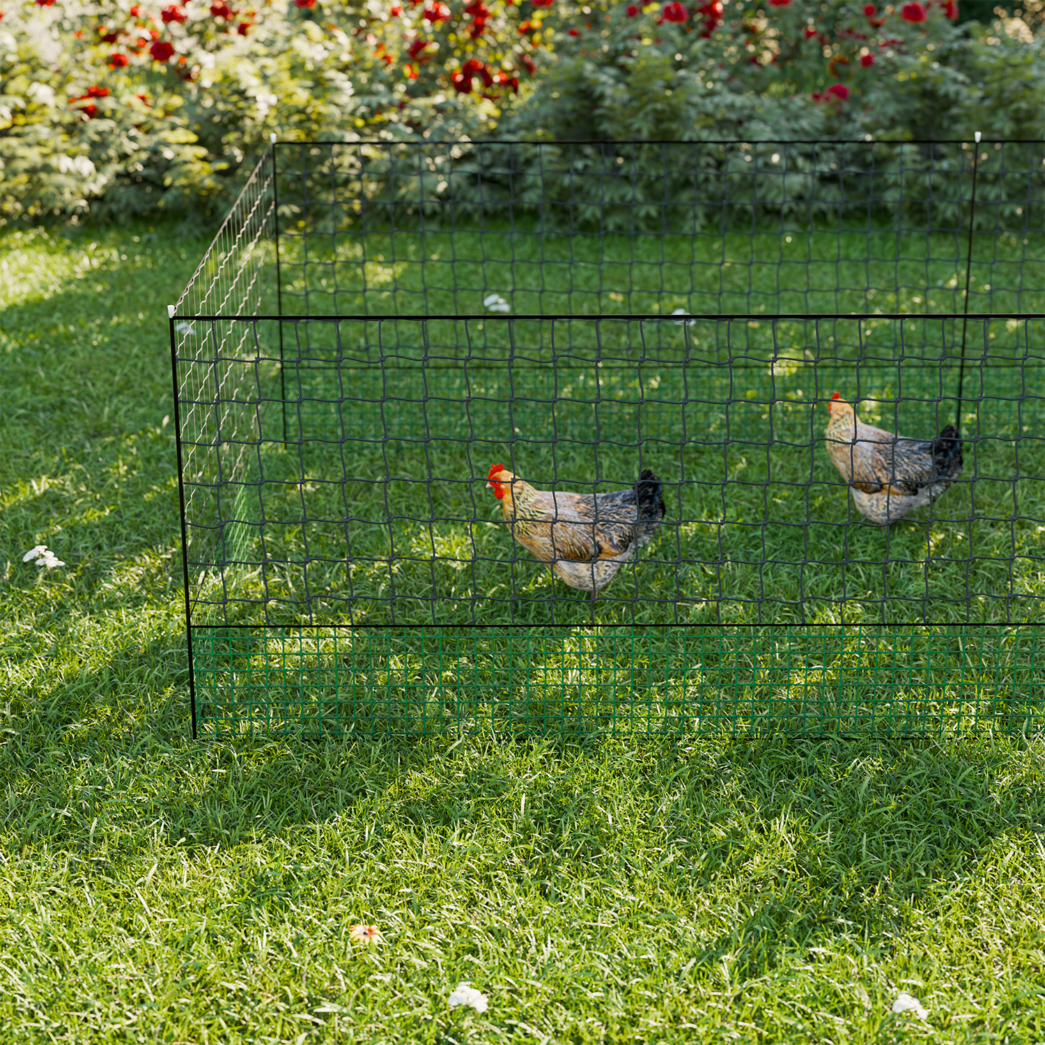 Kit de valla de red para pollos - Kit modular de cercado para gallinas