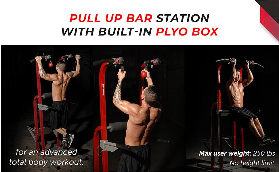 Stamina, power tower, dip station, dip bar tower, exercise, calisthenic equipment