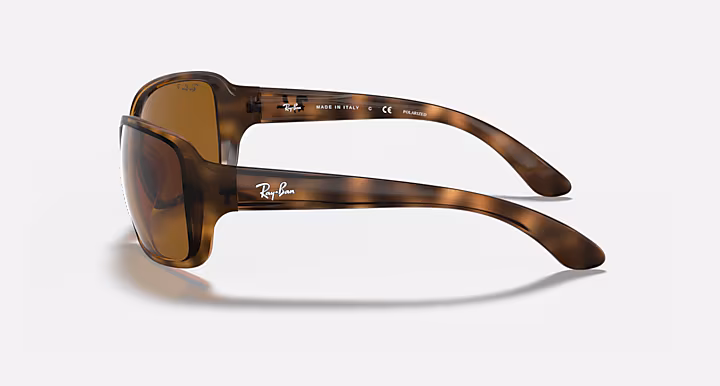 Ray-Ban RB4068