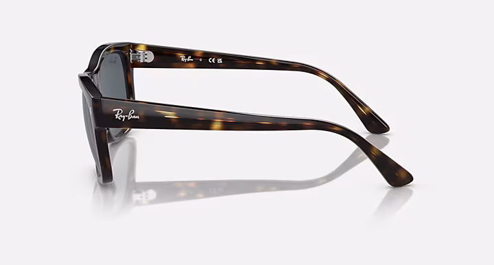 Ray-Ban RB4428