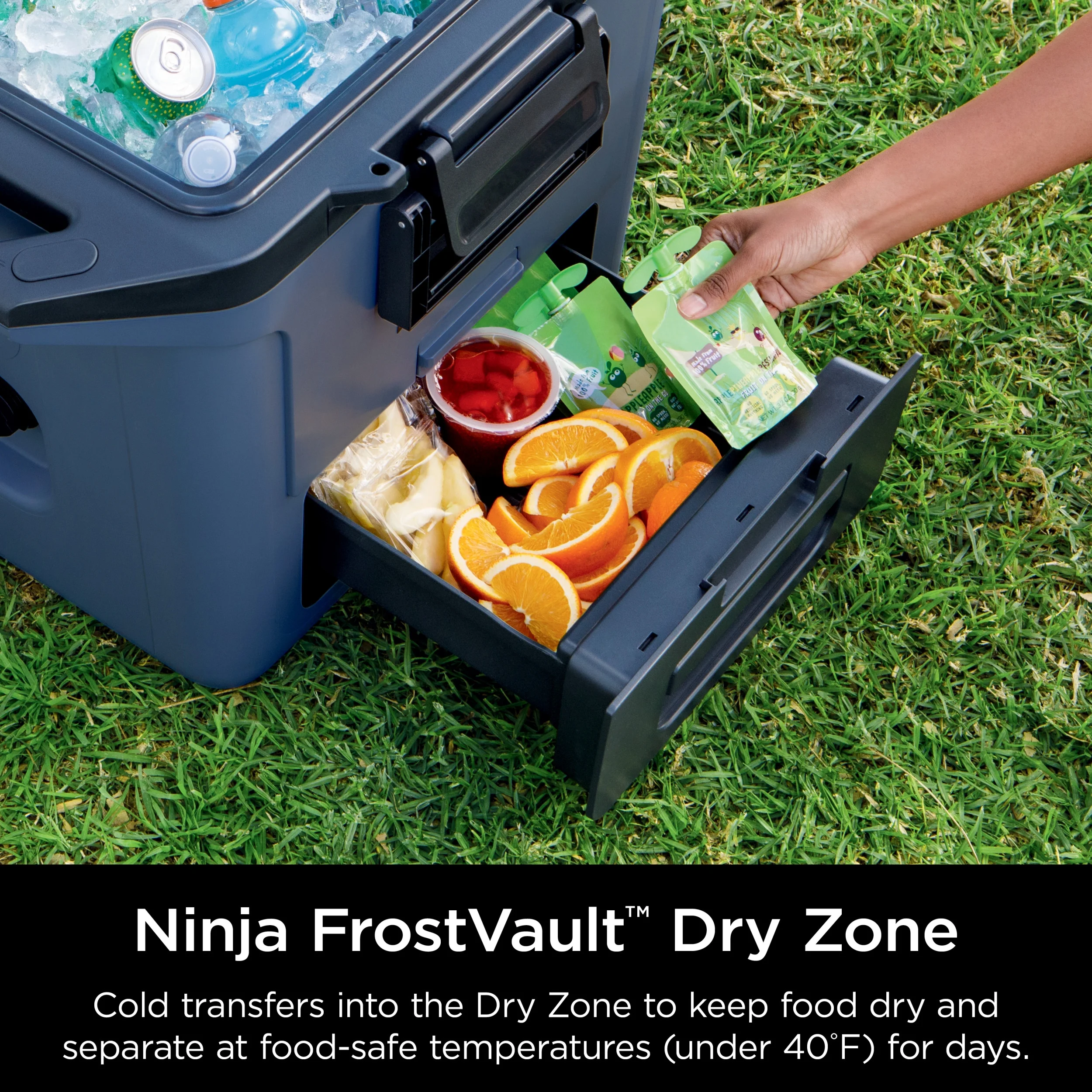 Ninja FrostVault 30qt Hard Cooler with Dry Zone, Ice Chest Cooler, White, FB131WH - Image 23