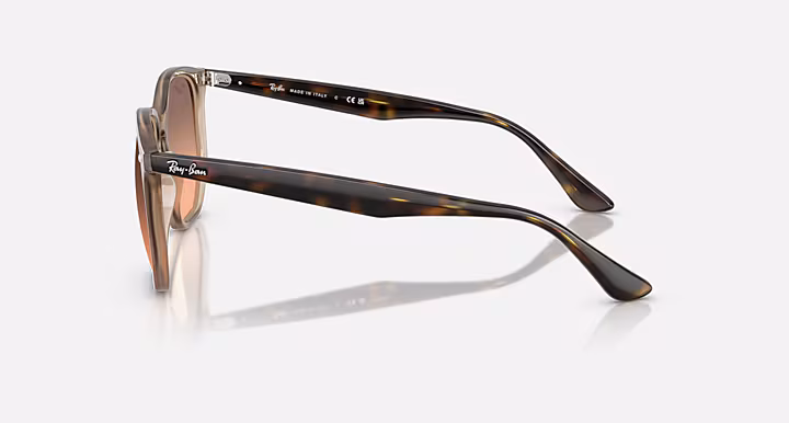 Ray-Ban RB4306