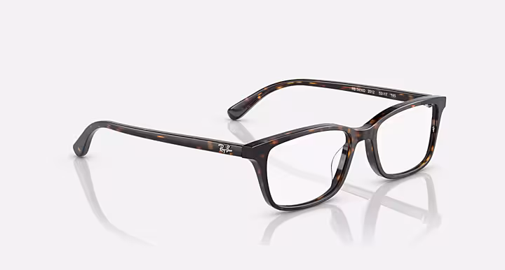 Ray-Ban RB5416 OPTICS
