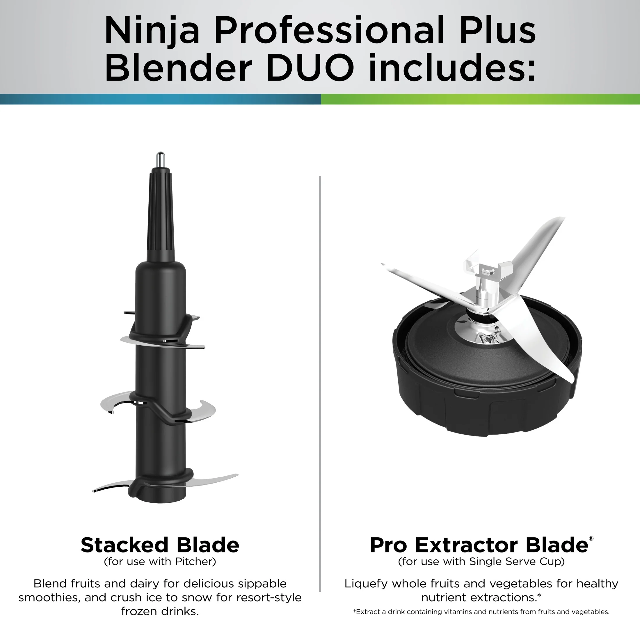 Ninja Professional Plus DUO Blender, 1400 W, 2 Auto-IQ Programs for Smoothies, Nutrient Extraction, 72 oz* Total Crushing Pitcher & (1) 24 oz To-Go Cup, Black, BN750 - Image 9