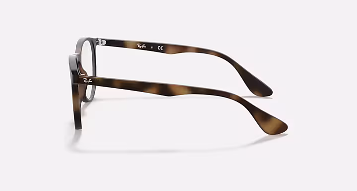 Ray-Ban ERIKA OPTICS
