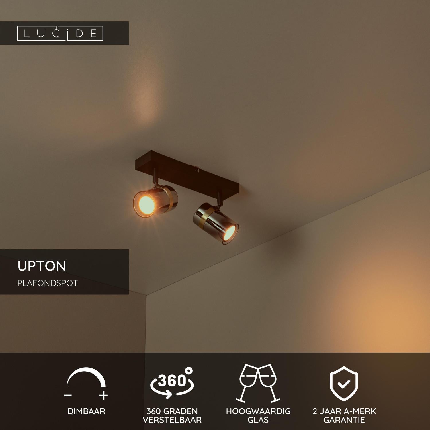 Lucide UPTON Plafondspot - Fumé