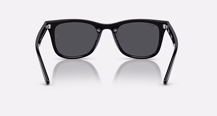 Ray-Ban RB4420