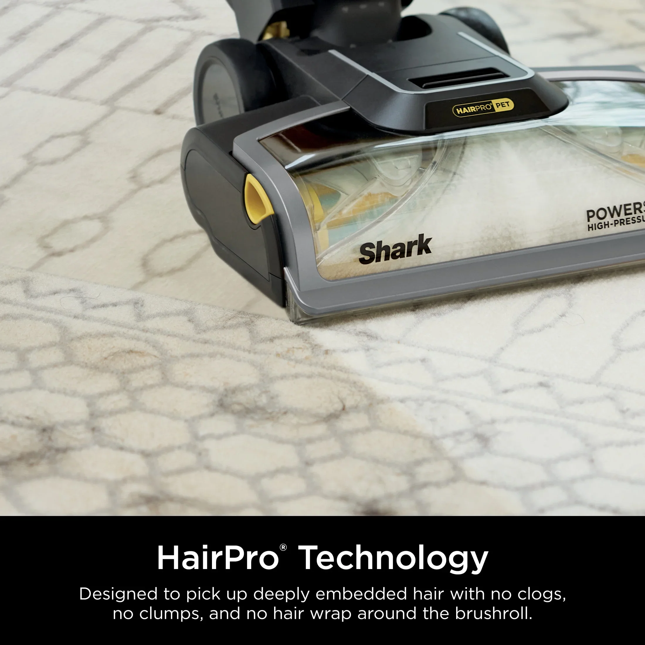 Shark CarpetXpert 2-in-1 Upright Deep Carpet Corded Vacuum, with HairPro StainStriker Technology, Built-in Spot & Stain Eliminator, with 12oz Deep Clean Pro and 16oz Oxy Multiplier, EX300 Gray