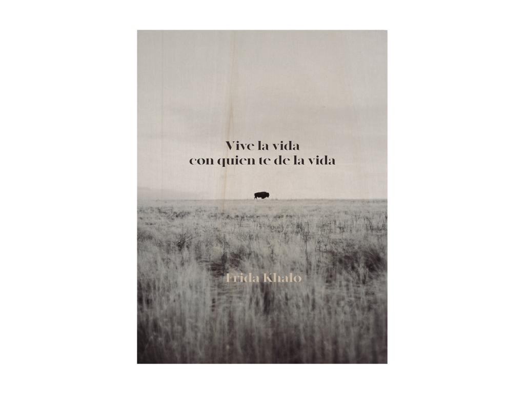 Cuadro de madera Vive la vida