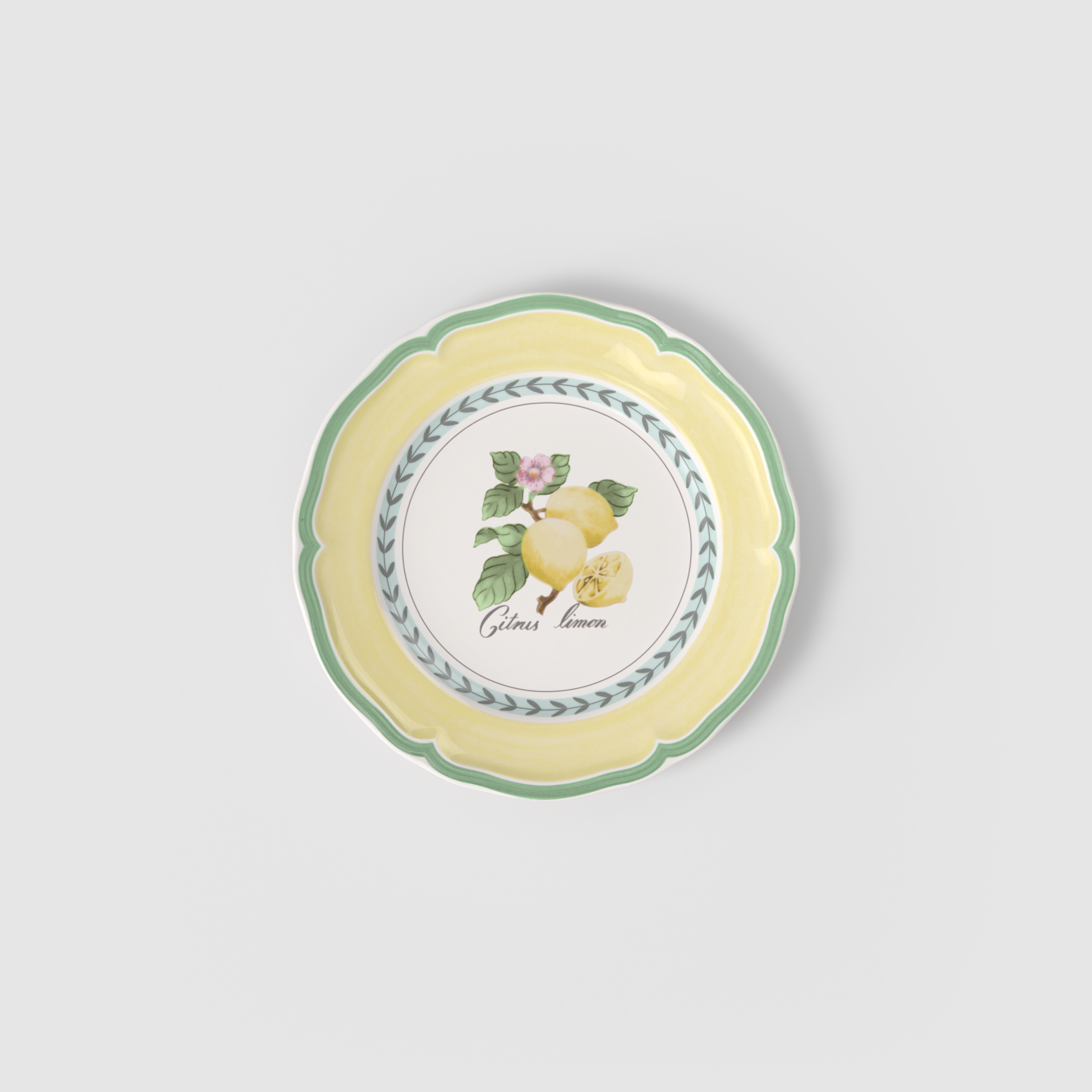 Villeroy & Boch French Garden Salad/ Dessert Plate