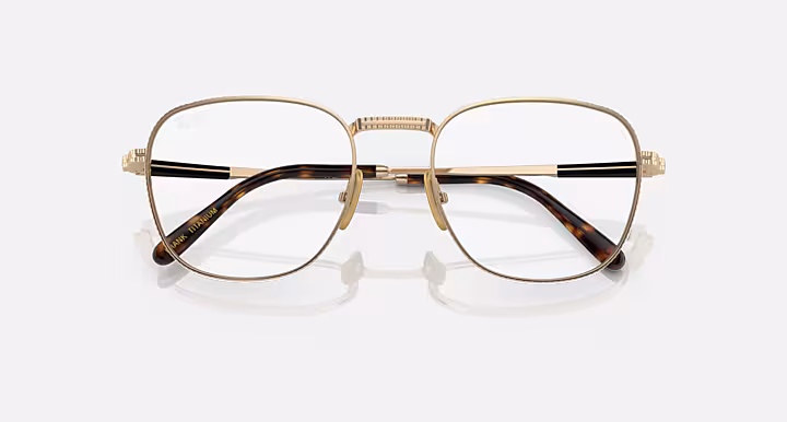 Ray-Ban FRANK II TITANIUM OPTICS