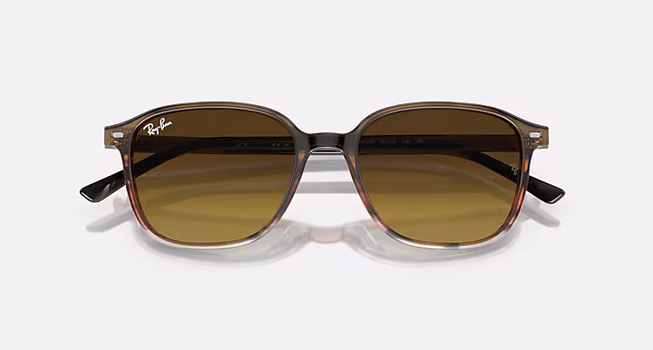 Ray-Ban LEONARD
