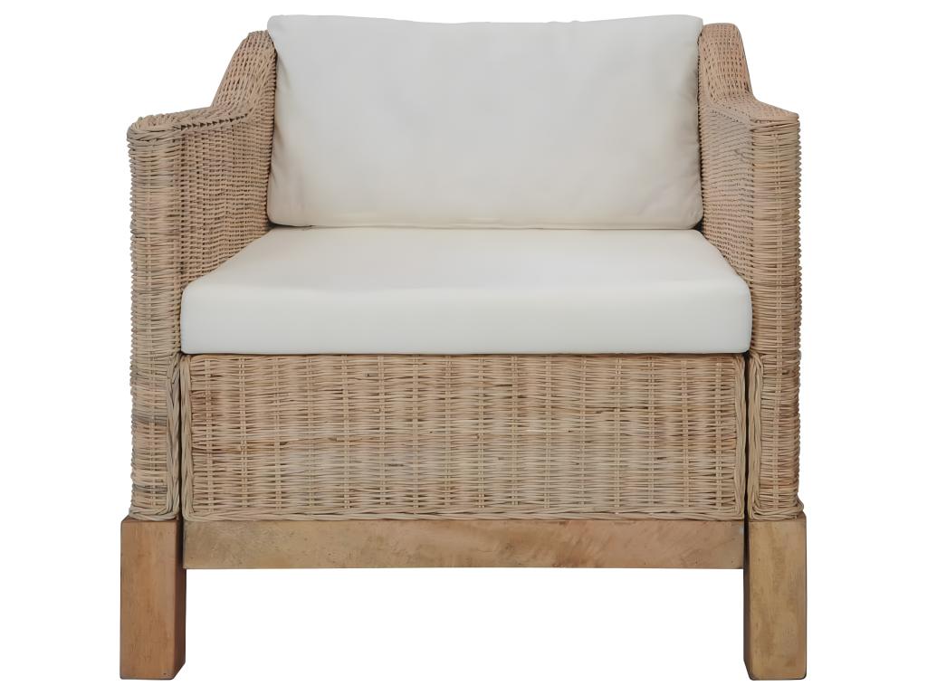 Conjunto de sofás 2 piezas con cojines ratán natural