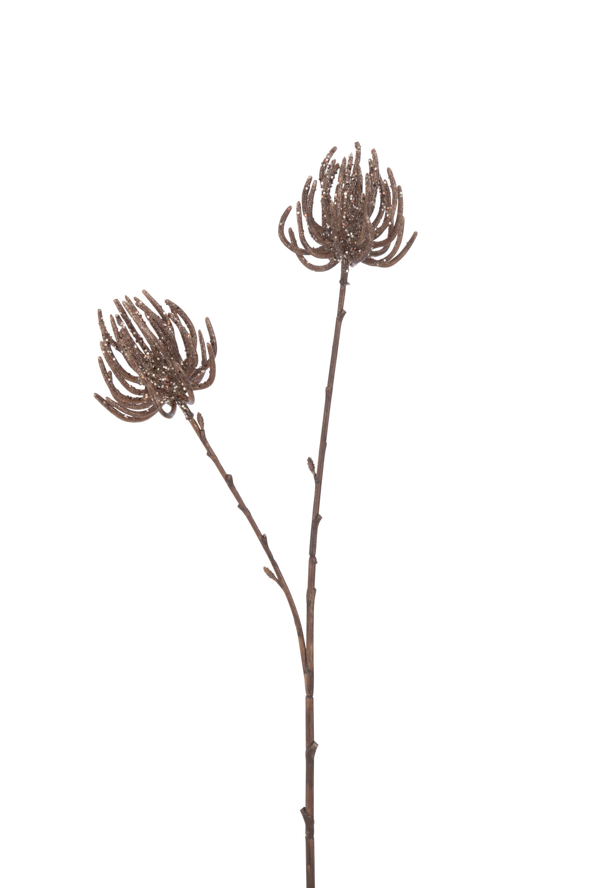 J-Line decoratie tak 2 Bloemen + Glitters - kunststof - brui