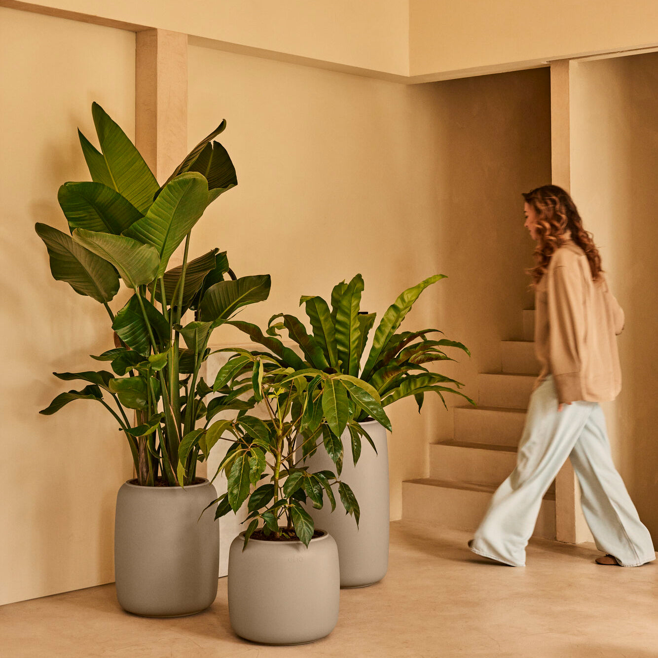 Elho Amber Beads Small 40 - Balanced beige - L 39 x B x H 35 cm - Binn