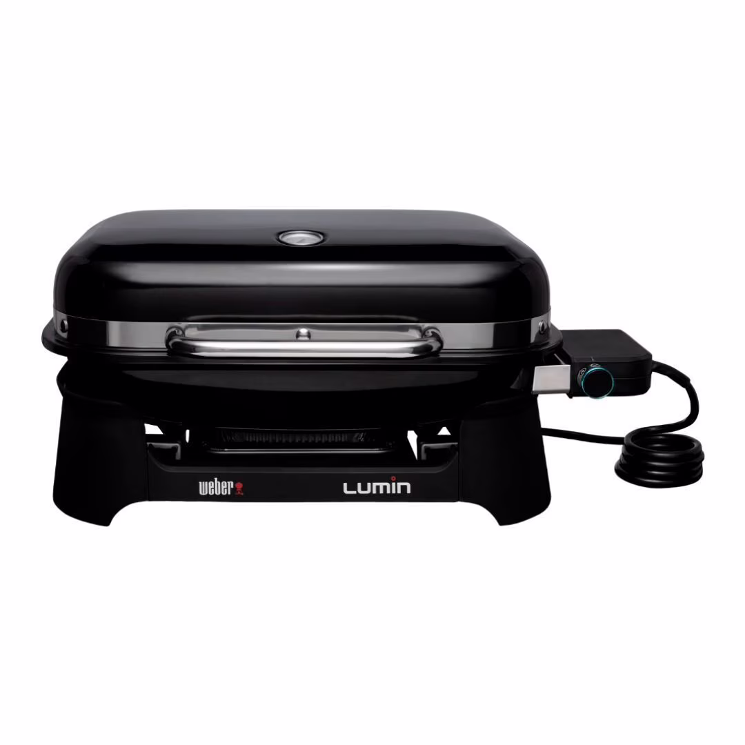 WEBER 92010901 electric bbq