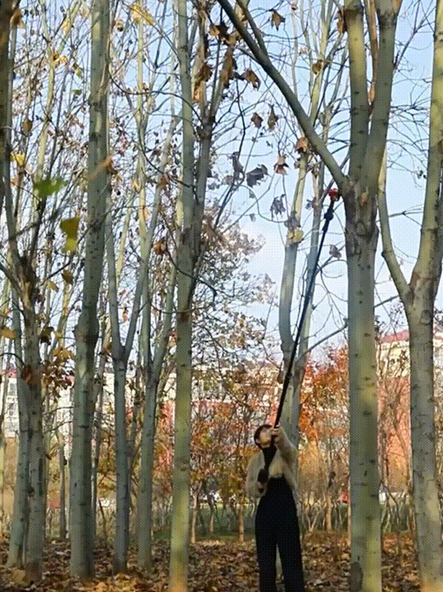 1729047741341947.gif
