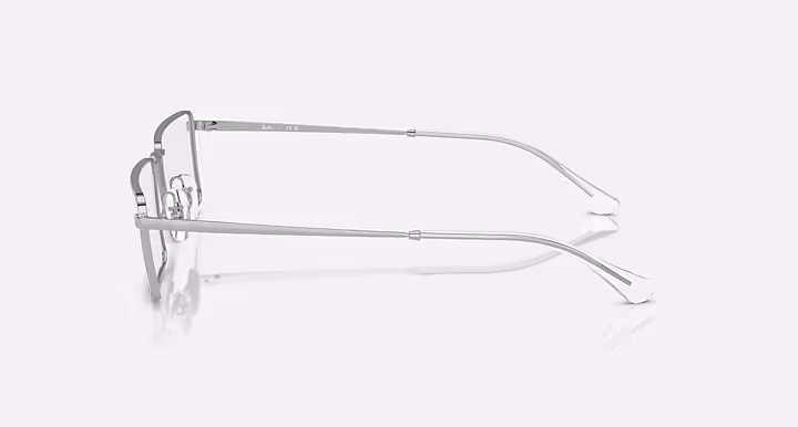 Ray-Ban EMY OPTICS