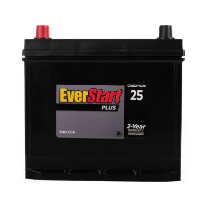 EverStart Plus Lead Acid Automotive Battery, Group Size 25 - 12 Volt 550 CCA 110 RC