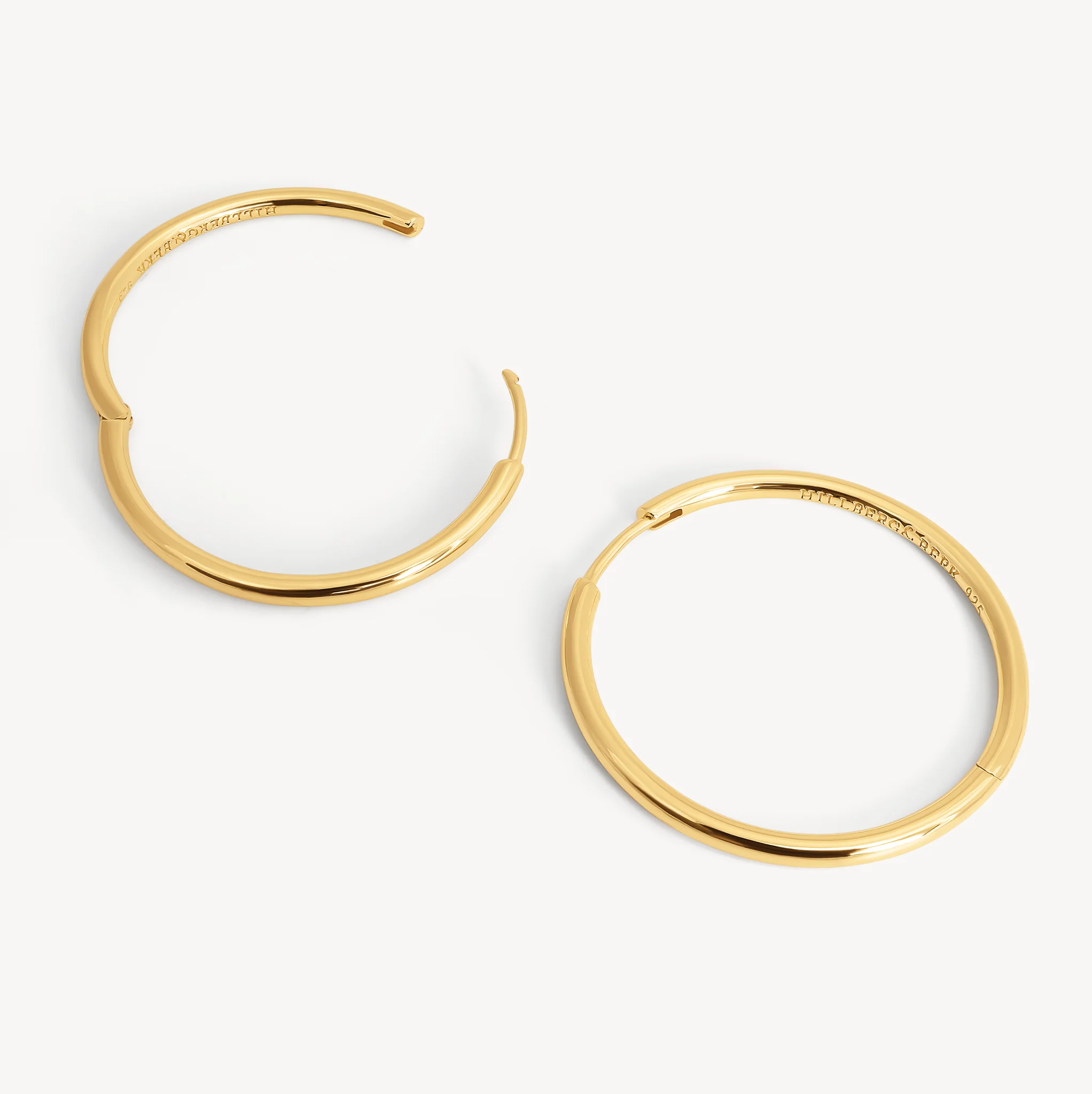 Large Hoop Earrings