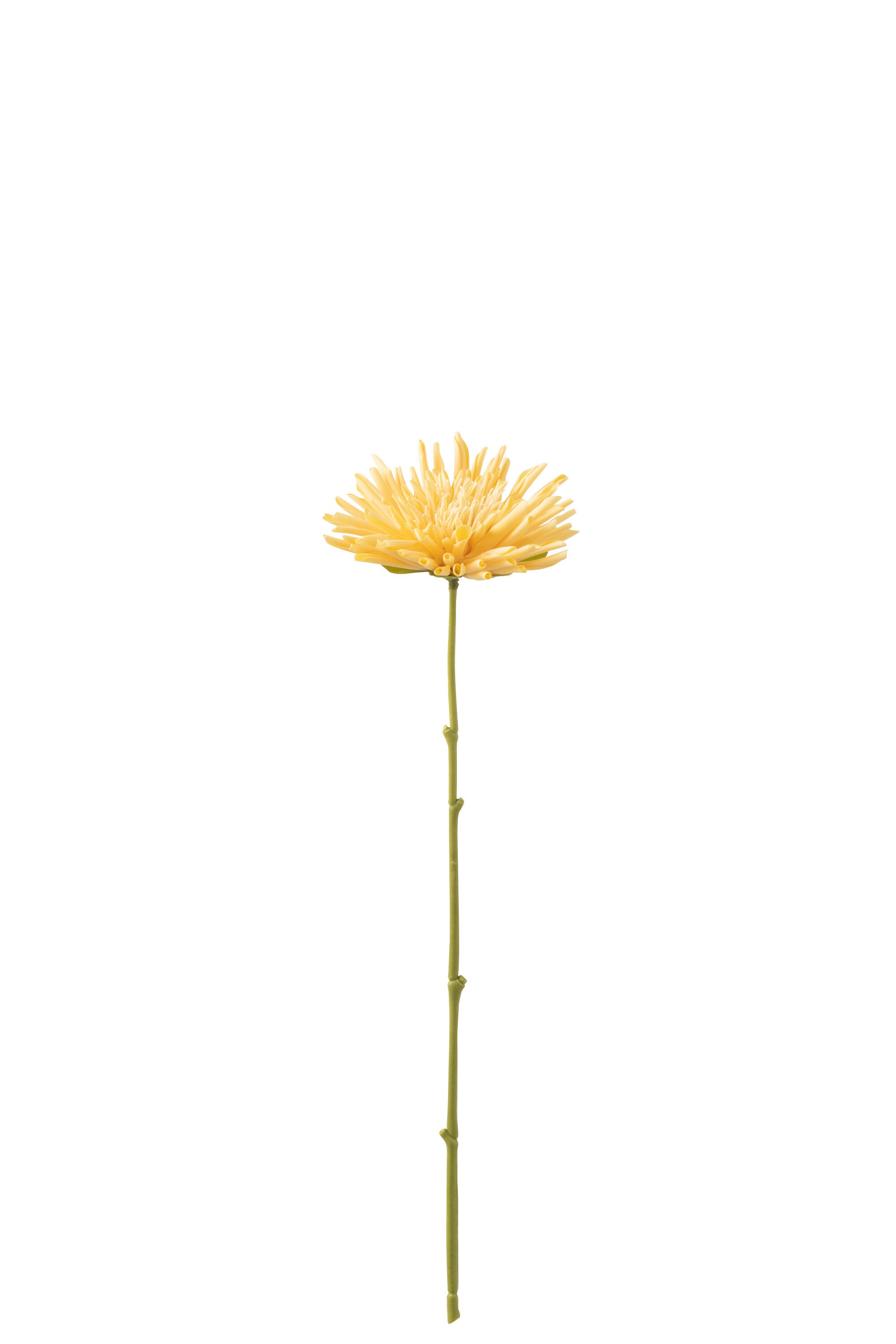 J-Line bloem Chrysant Mini - kunststof - lichtgeel - 24 stuks