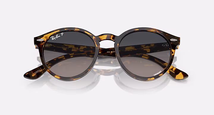 Ray-Ban LARRY