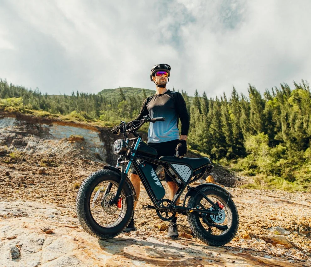 YVY 1500W Electric Bike for Adults, 33MPH 20'' Fat Tire Electric Motorcycle, 48V 20AH Removable Battery, 30 - 60
