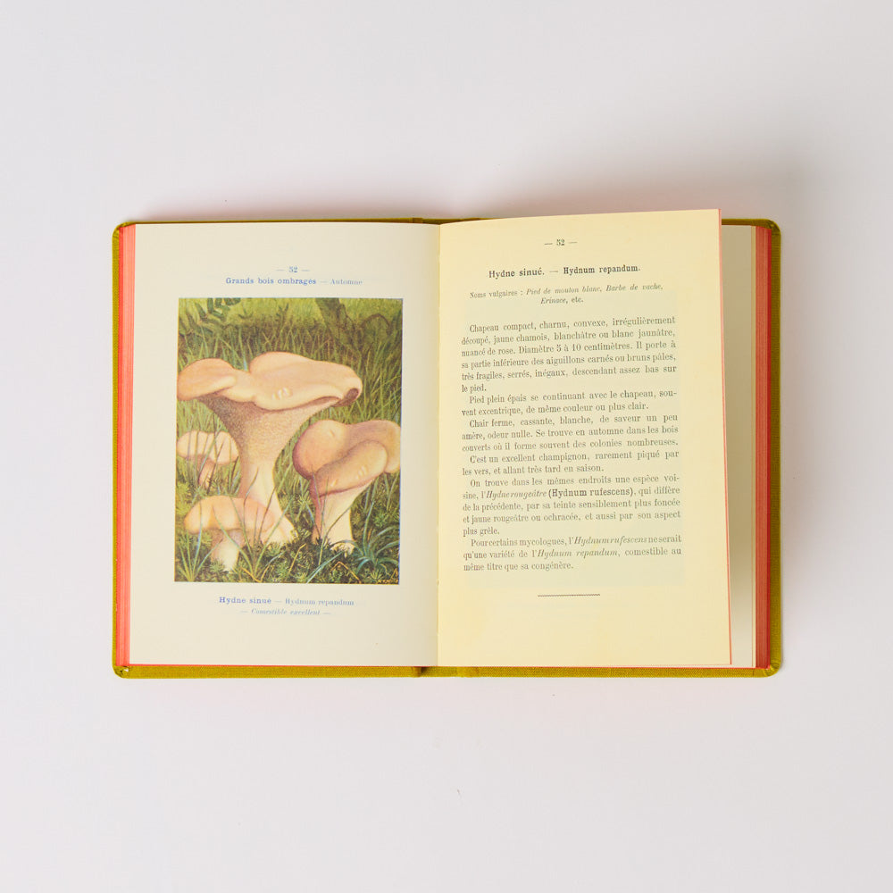 Livre Atlas - Champignons