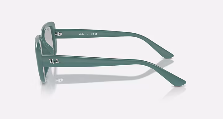 Ray-Ban RB4421D BIO-BASED