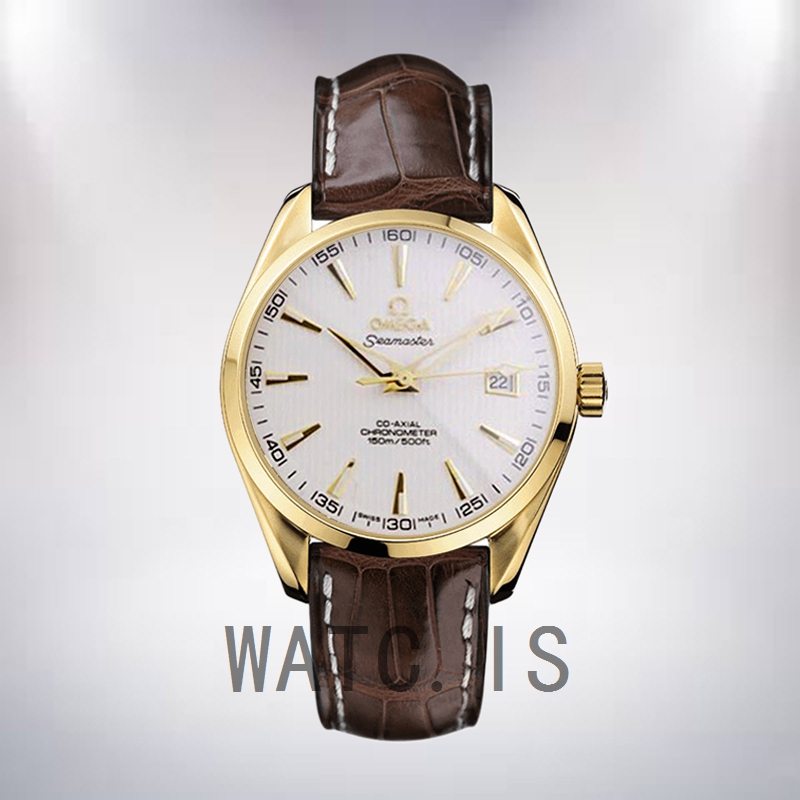 Omega Seamaster 41mm Men SeamasterWSL-004 Automatic Leather Strap